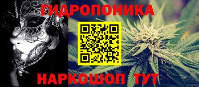 сатива Малгобек