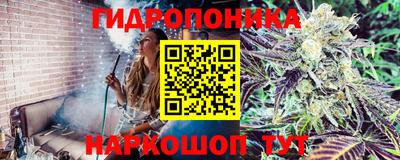 мяу мяу мука Ливны